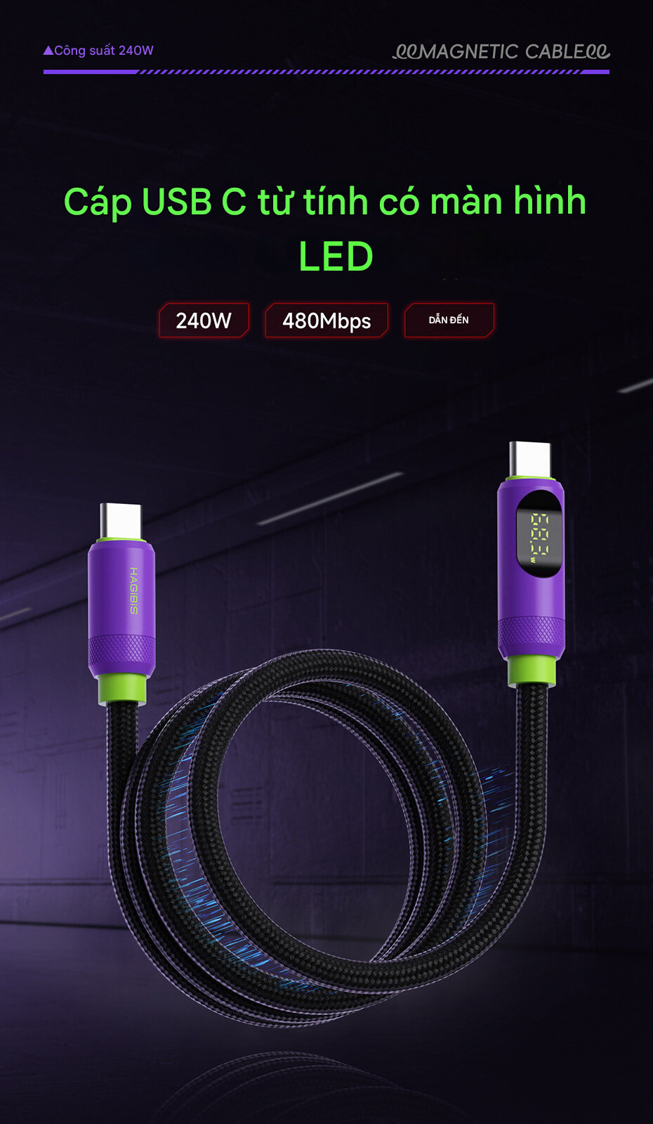 1_hagibis_usb_c_to_usb_c_240w_sx04s