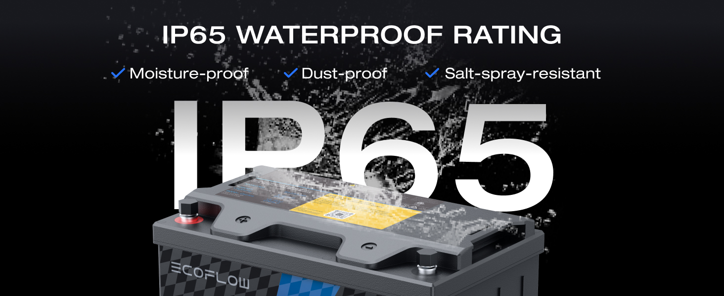 10_ecoflow_12v_100ah_lifepo4_lithium_battery