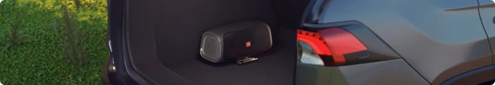 2_jbl_basspro_go