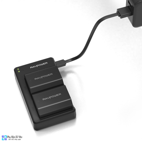 ravpower sony battery charger