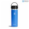 binh-pha-ca-phe-hydro-flask-20-oz-co-nap-flex-sip - ảnh nhỏ 2