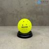 hop-6-bong-pickleball-gold-pick-g-pro-performance-40-lo-nhua-nguyen-sinh - ảnh nhỏ 2